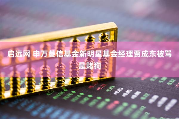 启远网 申万菱信基金新明星基金经理贾成东被骂是赌狗